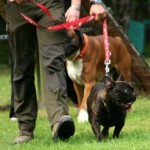 to800051-150x150 Tag der offenen Tür 2008