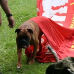 to800055-150x150 Tag der offenen Tür 2008