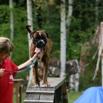 to800056-150x150 Tag der offenen Tür 2008