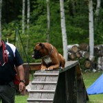 to800057-150x150 Tag der offenen Tür 2008