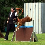 to800058-150x150 Tag der offenen Tür 2008