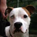 to800059-150x150 Tag der offenen Tür 2008