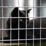 to800062-150x150 Tag der offenen Tür 2008