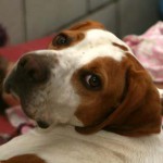 to800064-150x150 Tag der offenen Tür 2008