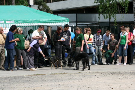 to900018 9 knubbelige Hundewelpen suchen ein Zuhause