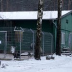 Eiseskaelte-150x150 Blog - Tierschutzliga Dorf