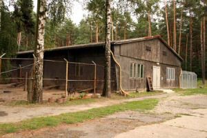 hundehaus1