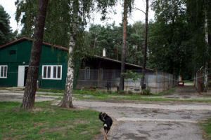 hundehaus2