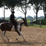 14183757_882041035273061_5298390556252643054_n-150x150 Wild West Day 2016