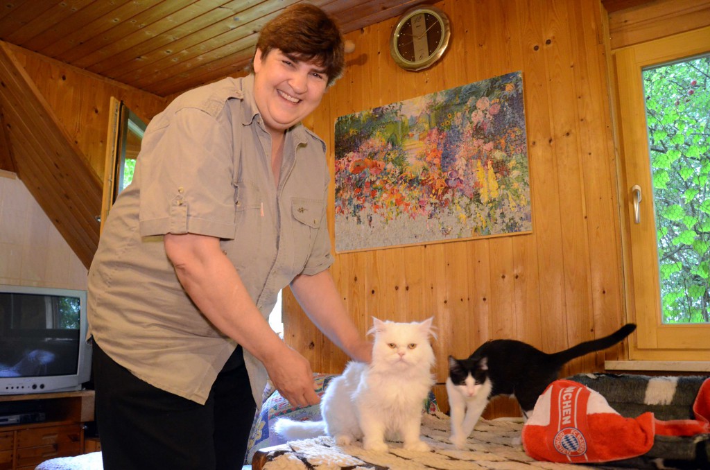 Die Katzenstation München - Tierschutzliga Stiftung