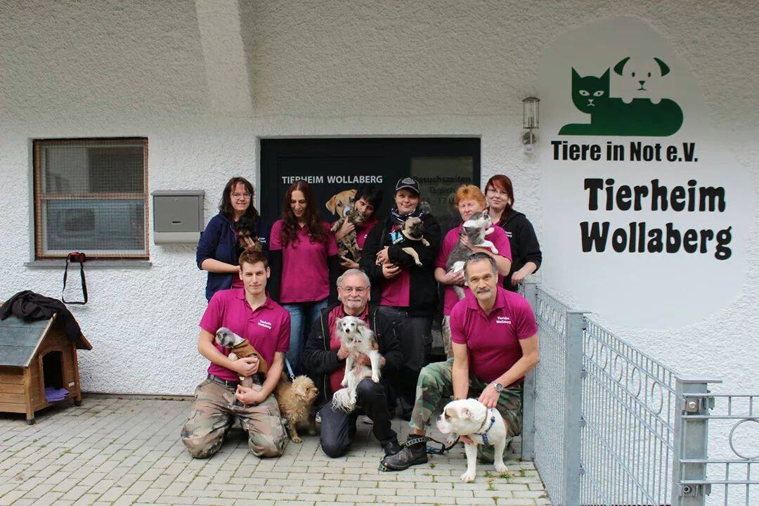 team-wollaberg Unterstützen Sie das Tierheim Wollaberg