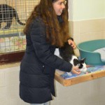 DSC_0100-150x150 Tag der offnenen Tür im Tierheim Wollaberg