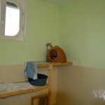 DSC_0105-150x150 Tag der offnenen Tür im Tierheim Wollaberg