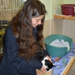 DSC_0106-150x150 Tag der offnenen Tür im Tierheim Wollaberg