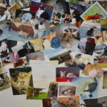 DSC_0129-150x150 Tag der offnenen Tür im Tierheim Wollaberg