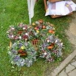 DSC_0146-150x150 Tag der offnenen Tür im Tierheim Wollaberg