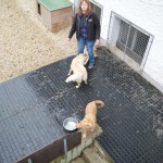 DSC_0164-150x150 Tag der offnenen Tür im Tierheim Wollaberg