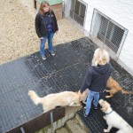 DSC_0166-150x150 Tag der offnenen Tür im Tierheim Wollaberg