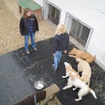 DSC_0168-150x150 Tag der offnenen Tür im Tierheim Wollaberg