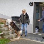 DSC_0187-150x150 Tag der offnenen Tür im Tierheim Wollaberg