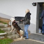 DSC_0188-150x150 Tag der offnenen Tür im Tierheim Wollaberg