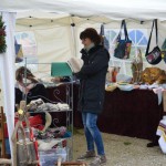 DSC_0207-150x150 Tag der offnenen Tür im Tierheim Wollaberg