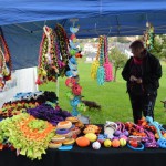 DSC_0212-150x150 Tag der offnenen Tür im Tierheim Wollaberg