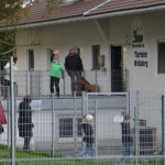 DSC_0223-150x150 Tag der offnenen Tür im Tierheim Wollaberg