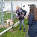 DSC_0231-150x150 Tag der offnenen Tür im Tierheim Wollaberg