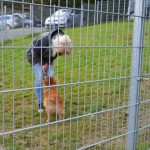 DSC_0243-150x150 Tag der offnenen Tür im Tierheim Wollaberg