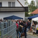 DSC_0262-150x150 Tag der offnenen Tür im Tierheim Wollaberg