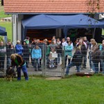 DSC_0264-150x150 Tag der offnenen Tür im Tierheim Wollaberg