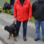 DSC_0299-150x150 Tag der offnenen Tür im Tierheim Wollaberg