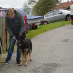 DSC_0308-150x150 Tag der offnenen Tür im Tierheim Wollaberg