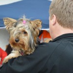 DSC_0340-150x150 Tag der offnenen Tür im Tierheim Wollaberg