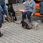 DSC_0360-150x150 Tag der offnenen Tür im Tierheim Wollaberg