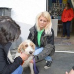 DSC_0384-150x150 Tag der offnenen Tür im Tierheim Wollaberg