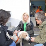 DSC_0386-150x150 Tag der offnenen Tür im Tierheim Wollaberg