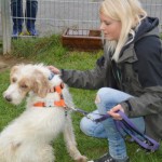 DSC_0396-150x150 Tag der offnenen Tür im Tierheim Wollaberg