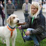 DSC_0398-150x150 Tag der offnenen Tür im Tierheim Wollaberg