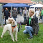 DSC_0399-150x150 Tag der offnenen Tür im Tierheim Wollaberg