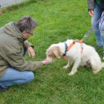 DSC_0400-150x150 Tag der offnenen Tür im Tierheim Wollaberg
