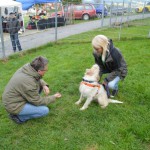 DSC_0401-150x150 Tag der offnenen Tür im Tierheim Wollaberg