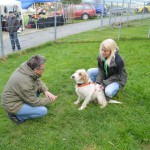 DSC_0402-150x150 Tag der offnenen Tür im Tierheim Wollaberg