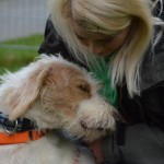 DSC_0408-150x150 Tag der offnenen Tür im Tierheim Wollaberg