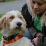 DSC_0409-150x150 Tag der offnenen Tür im Tierheim Wollaberg