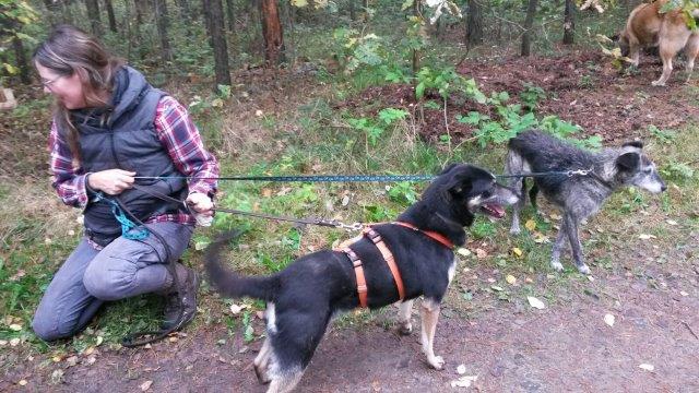 IMG-20161031-WA0001 Herbstwanderung 2016 - Impressionen