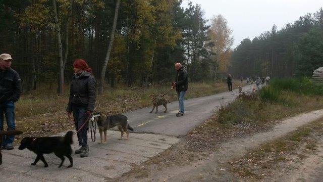 IMG-20161031-WA0002 Herbstwanderung 2016 - Impressionen