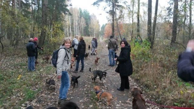 IMG-20161031-WA0003 Herbstwanderung 2016 - Impressionen