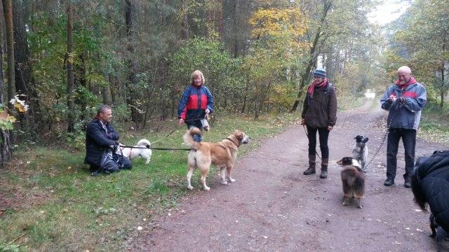 IMG-20161031-WA0005 Herbstwanderung 2016 - Impressionen